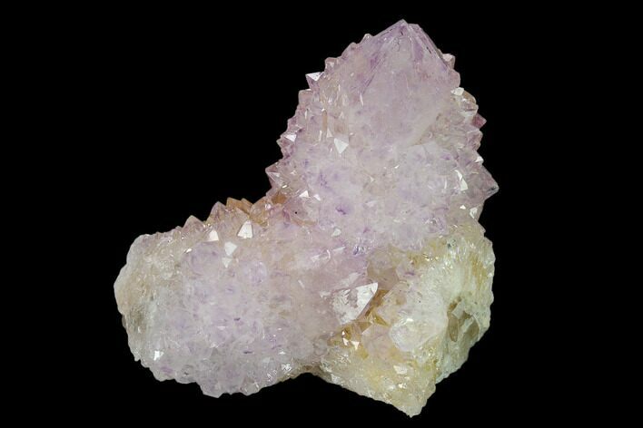 Cactus Quartz (Amethyst) Crystal Cluster - South Africa #137753